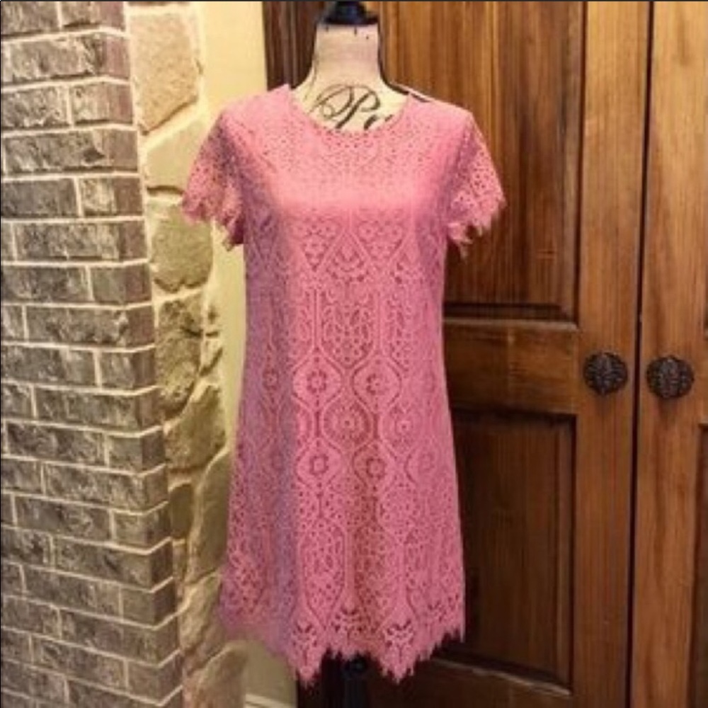 💕 Francesca’s Shift Dress: Lace, Pink, Size Small